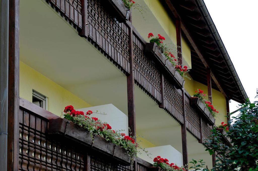 Hotel Tannenhof Steinen  Δωμάτιο φωτογραφία